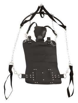 Sex Swing - Image 3