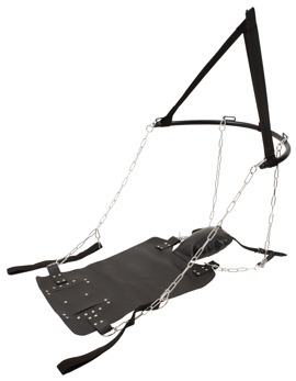 Sex Swing - Image 4
