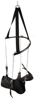 Sex Swing - Image 5