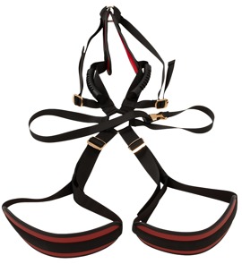 Bad Kitty Body Swing - Image 3
